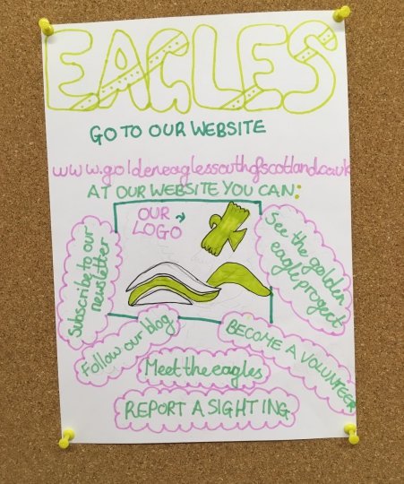 A poster promoting the South of Scotland Golden Eagle project created by a pupil from Moffat Primary School