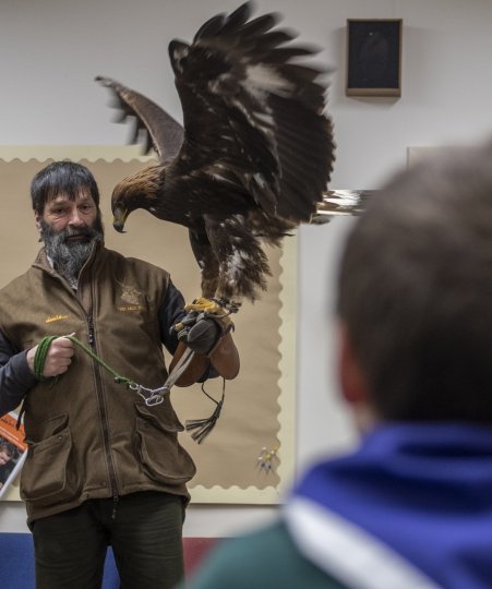 A local falconer displays his golden eagle whilst the cub-scouts look on