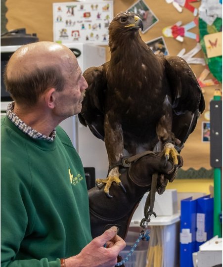 Ray and Mac the Golden Eagle