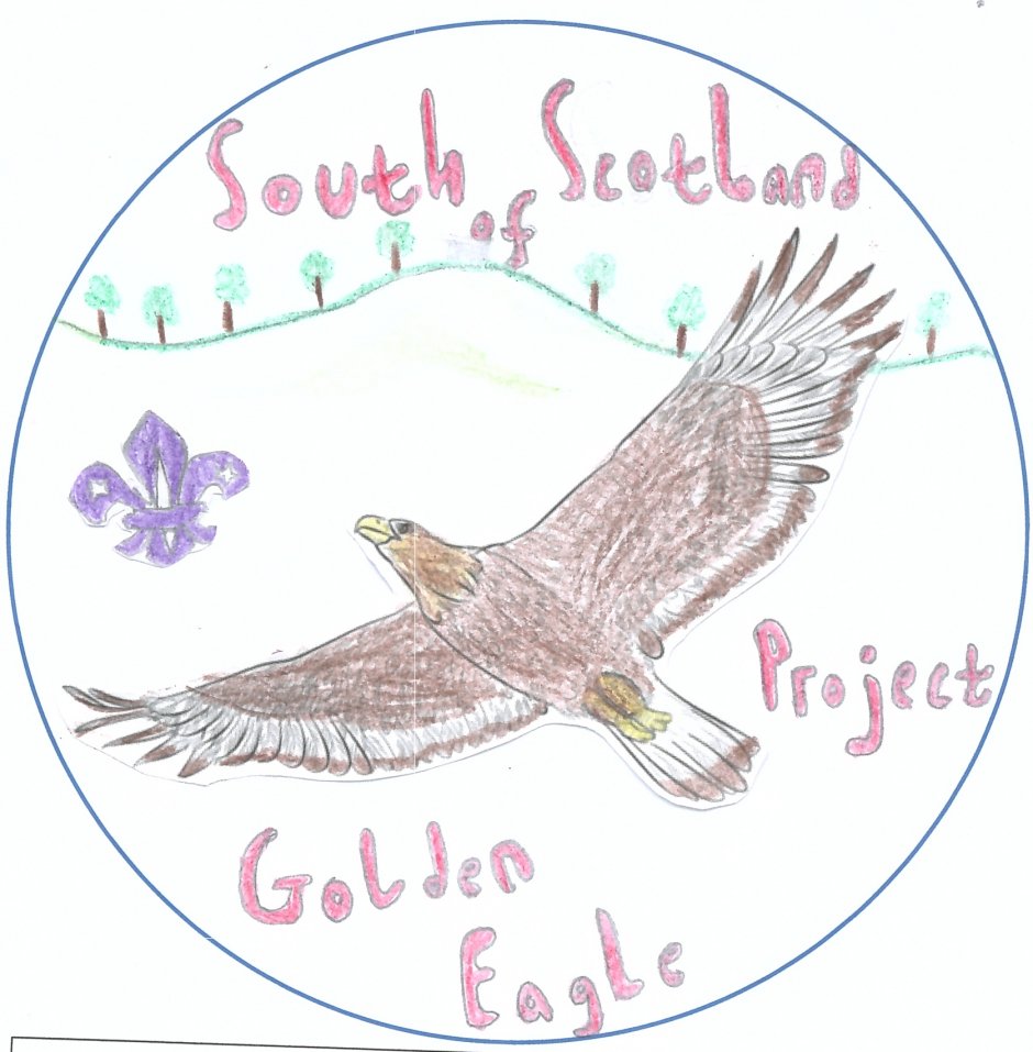 One of the entries for the 'Design the Badge' competition from Innerleithen Cubs. A soaring eagle across the rolling hills of the south of Scotland.