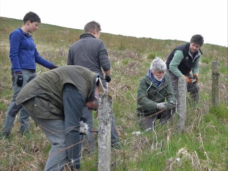 South Scotland Golden Eagle Project volunteers removing redundant fencing at Glenlude