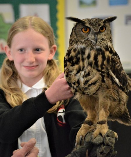 Student with Gizmo the Eagle Owl