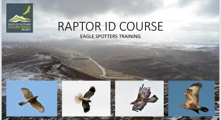 Raptor Identification Training