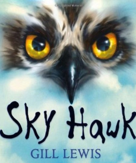 Skyhawk Book Cover