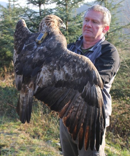 Eagle People Profiles - David Anderson