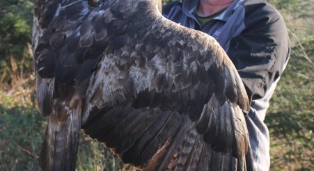 Eagle People Profiles - David Anderson