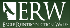 ERW Logo