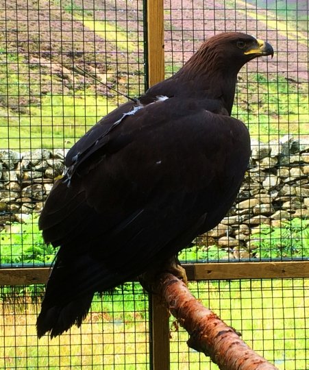 Emily just before release