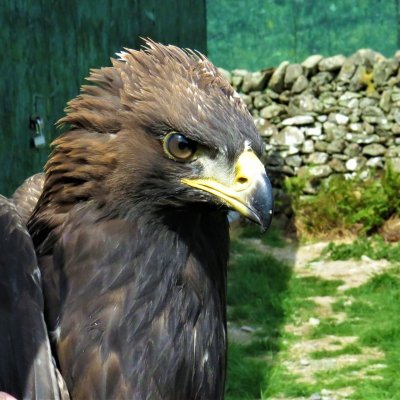 Edward