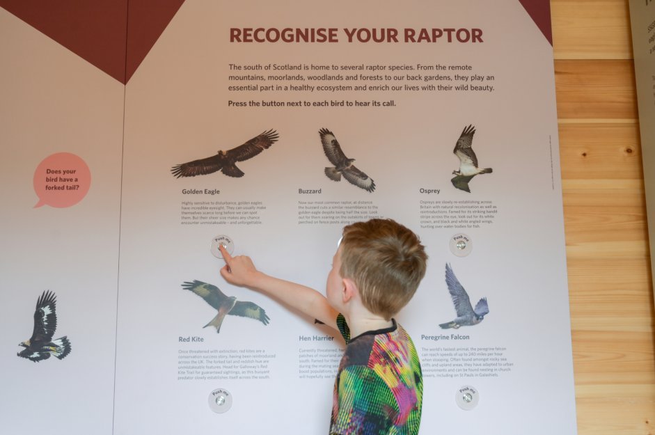 A child pressing the buttons on the 'Know Your Raptors' interpretation panel to hear the call of a golden eagle