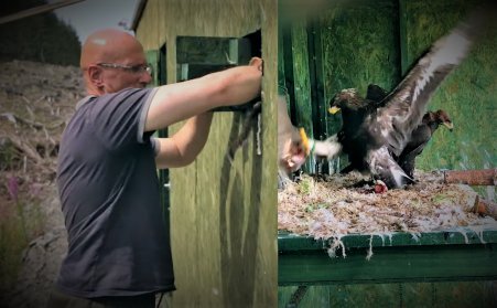 John feeding Eaglets