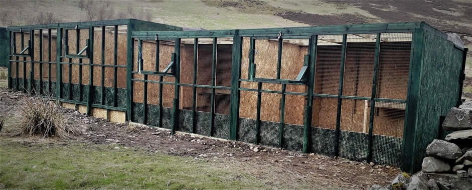 Aviaries at release site 