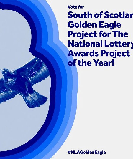 Vote For Us In The National Lottery Awards!