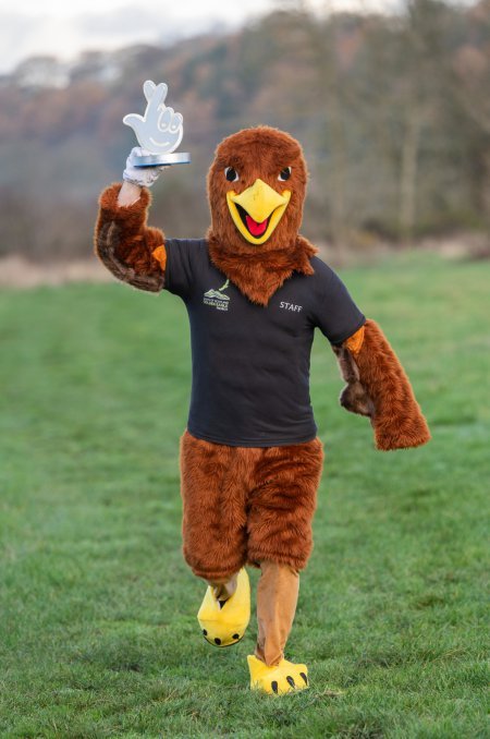 Project mascot, Moffy the golden eagle
