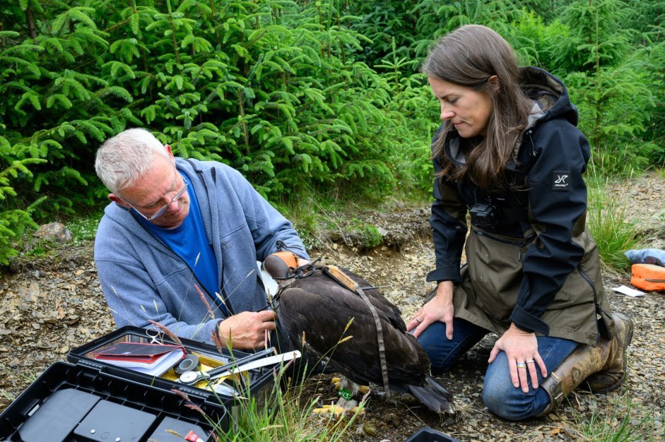 Dave Anderson, Dr Cat Barlow and Princeling