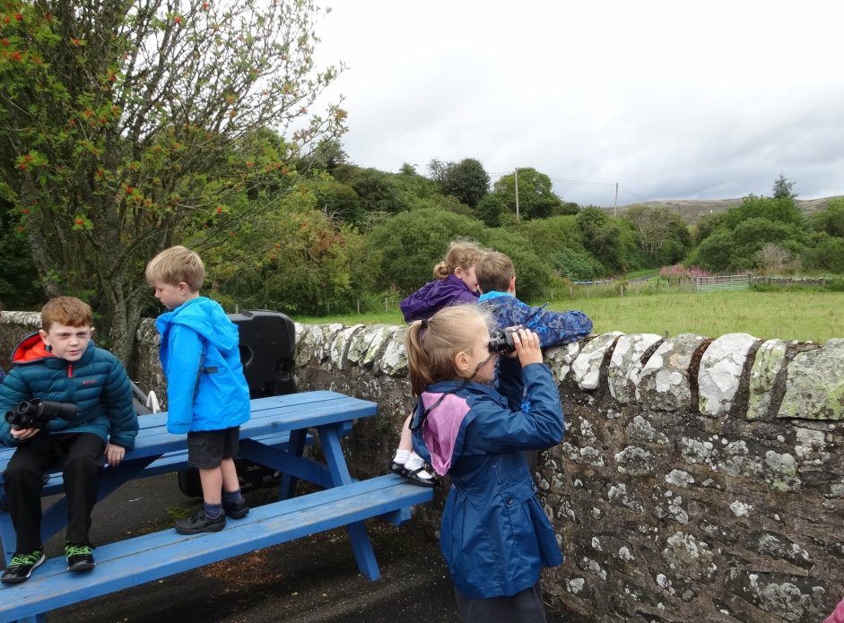 Pupils from Yarrow and KIrkhope Primary Schools Eagle Spotting