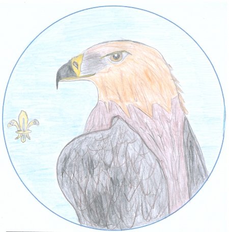 One of the entries for the 'Design the Badge' competition from Innerleithen Cubs. A side on eagle staring directly out at you