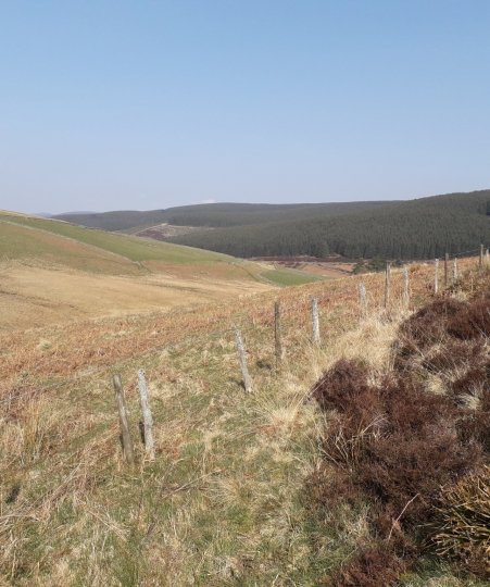 Redundant fencing at Glenlude Estate