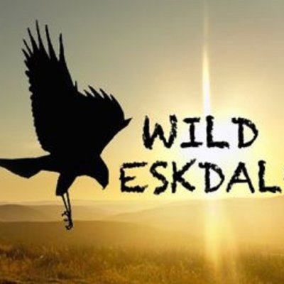 Wild Eskdale