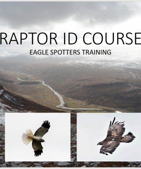 Raptor ID Course