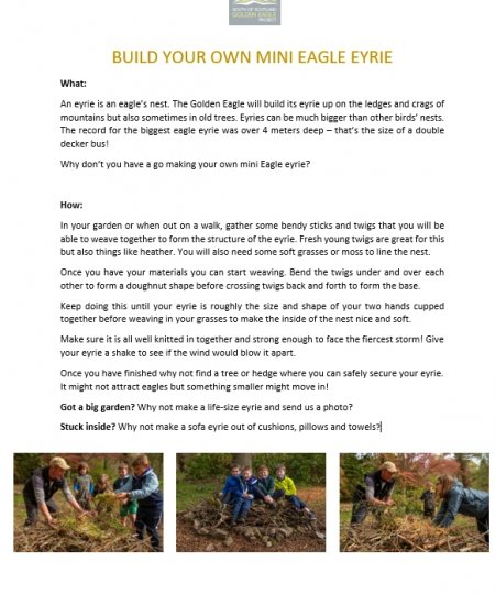Build your own Eagle eyrie