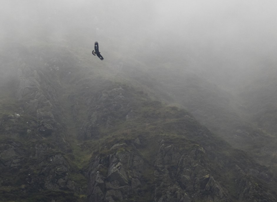 Skan (C17) in the Southern mist