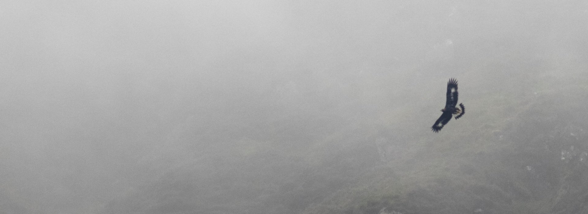 Skan (C17) in the Southern mist