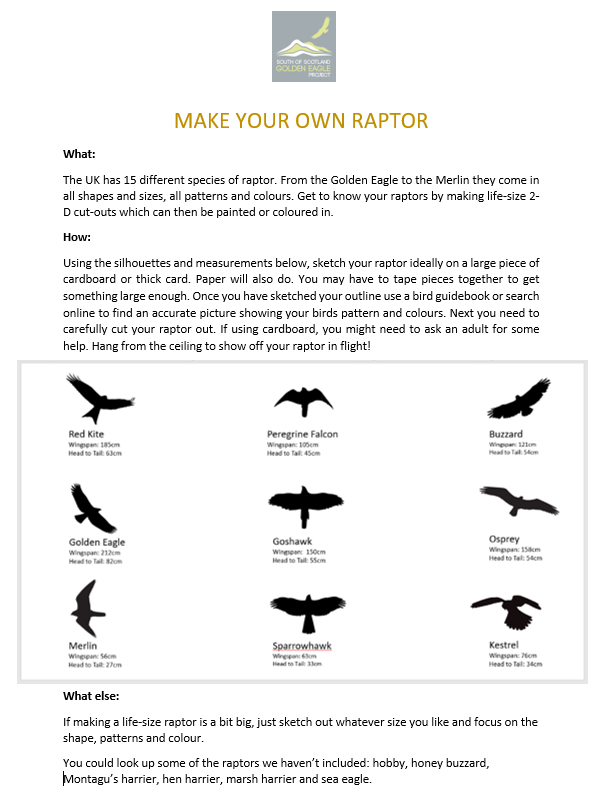 Make your own Raptor Instructions