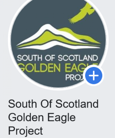 South of Scotland Golden Eagle Project on Facebook