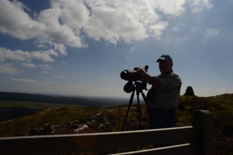 Monitoring the released Eagles