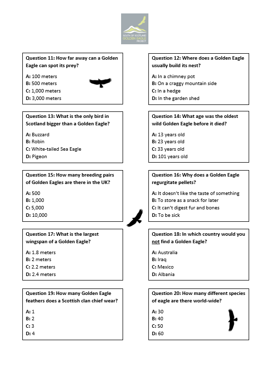 Big Eagle Quiz Questions 11-20