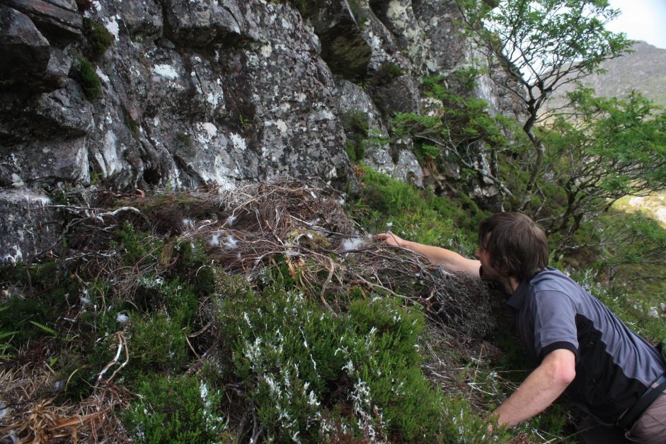 Andy approching an eyrie