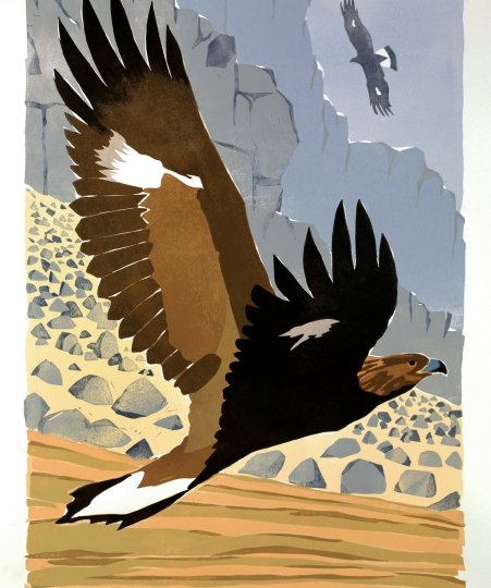 Leaflet artwork by Lisa Hooper showing two golden eagles