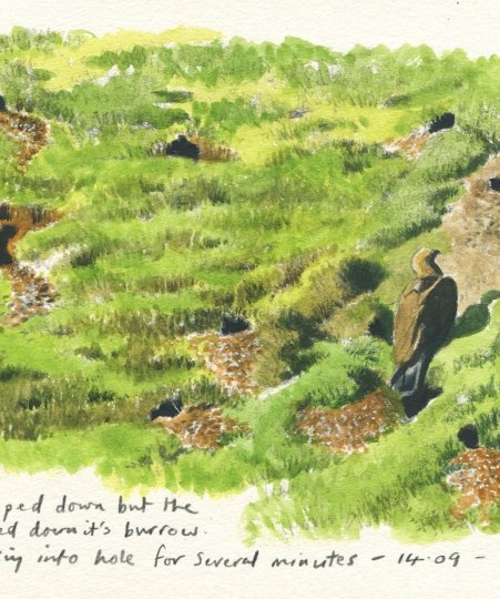 The Wright Strokes #5 - Sketches from Eagle Country